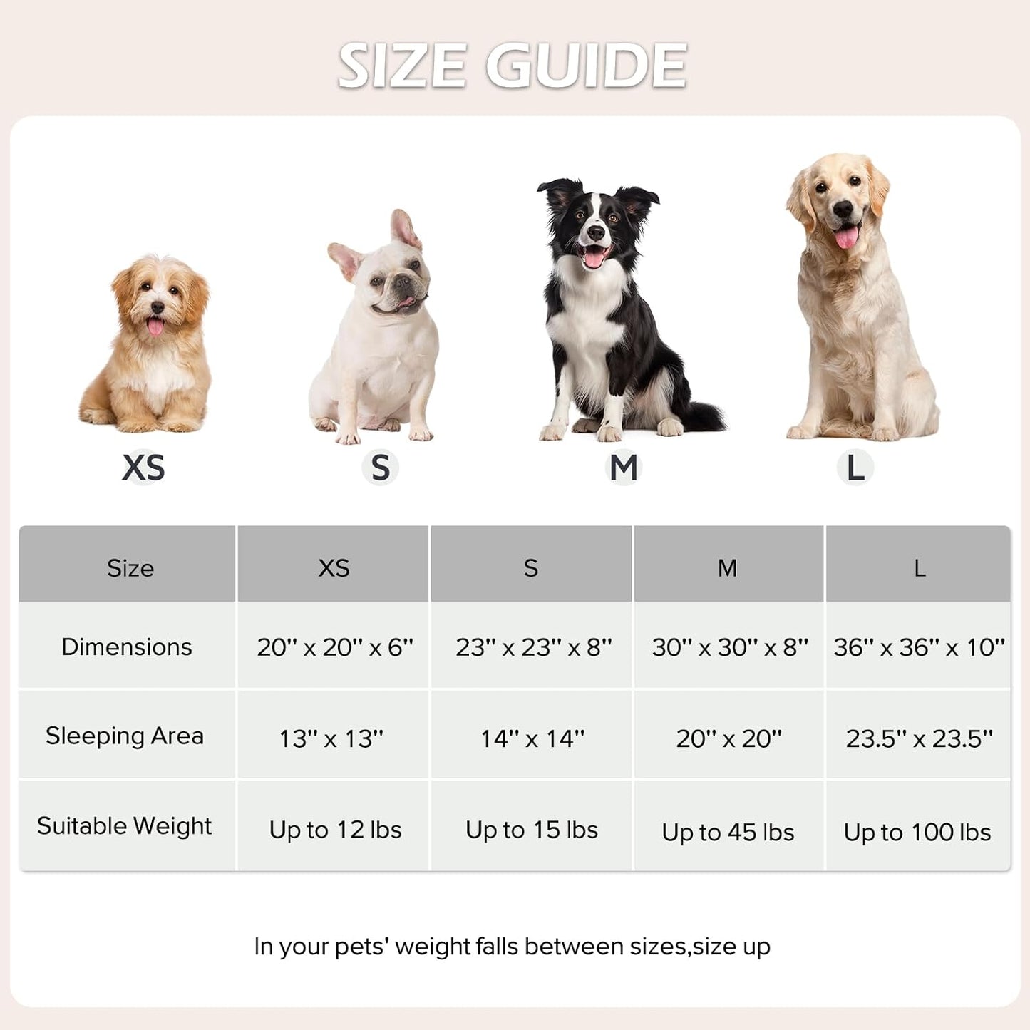 Donut Dog Bed Medium Size, Cute round Calming Pet Bed with Removable Washable Cover, Orthopedic Cat Puppy Bed with Jacquard Shaggy Plush & Non Skid Bottom