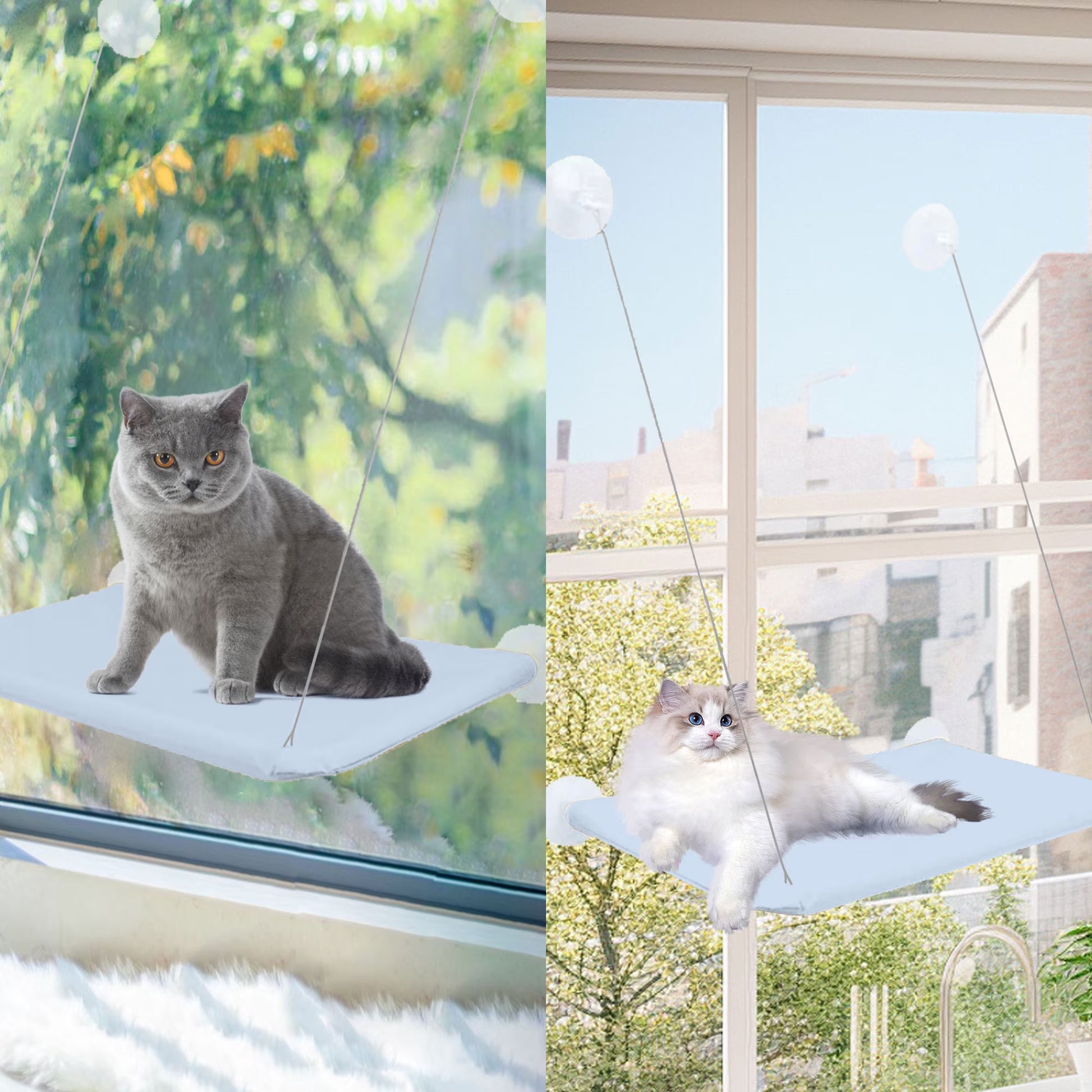 Window Cat Hammock Cat Window Sill Perch Cat Bed Pet Cat Window Sill Stand Suction Cup Hanging Cat Litter Box-Blue