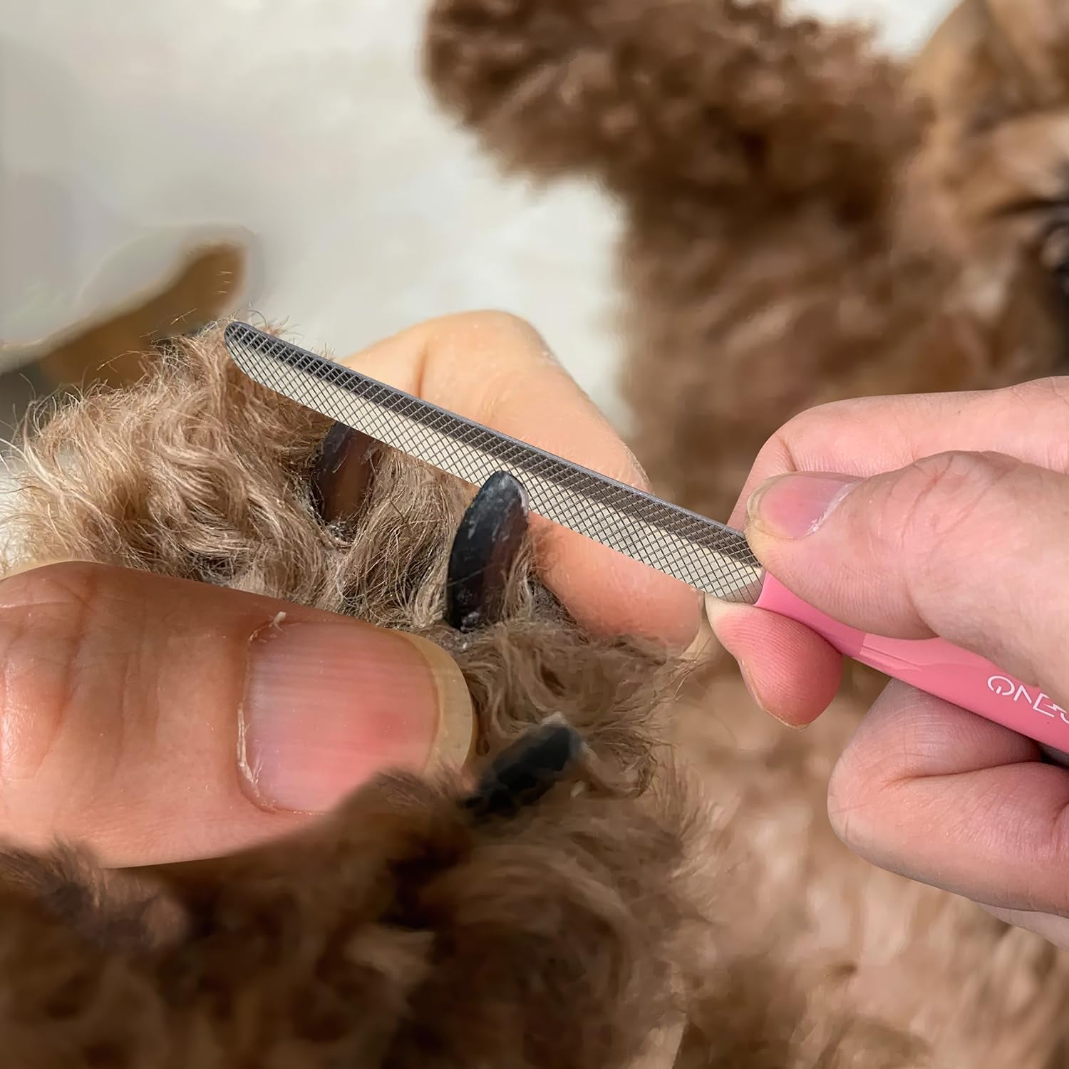 6" Dog Nail Clippers for Small, Medium and Large Breed Professional Pet Nail Trimmers -Suitable for Cats, Rabbits and Guinea Pigs with Safety Guard to Avoid over Cutting (Pink)