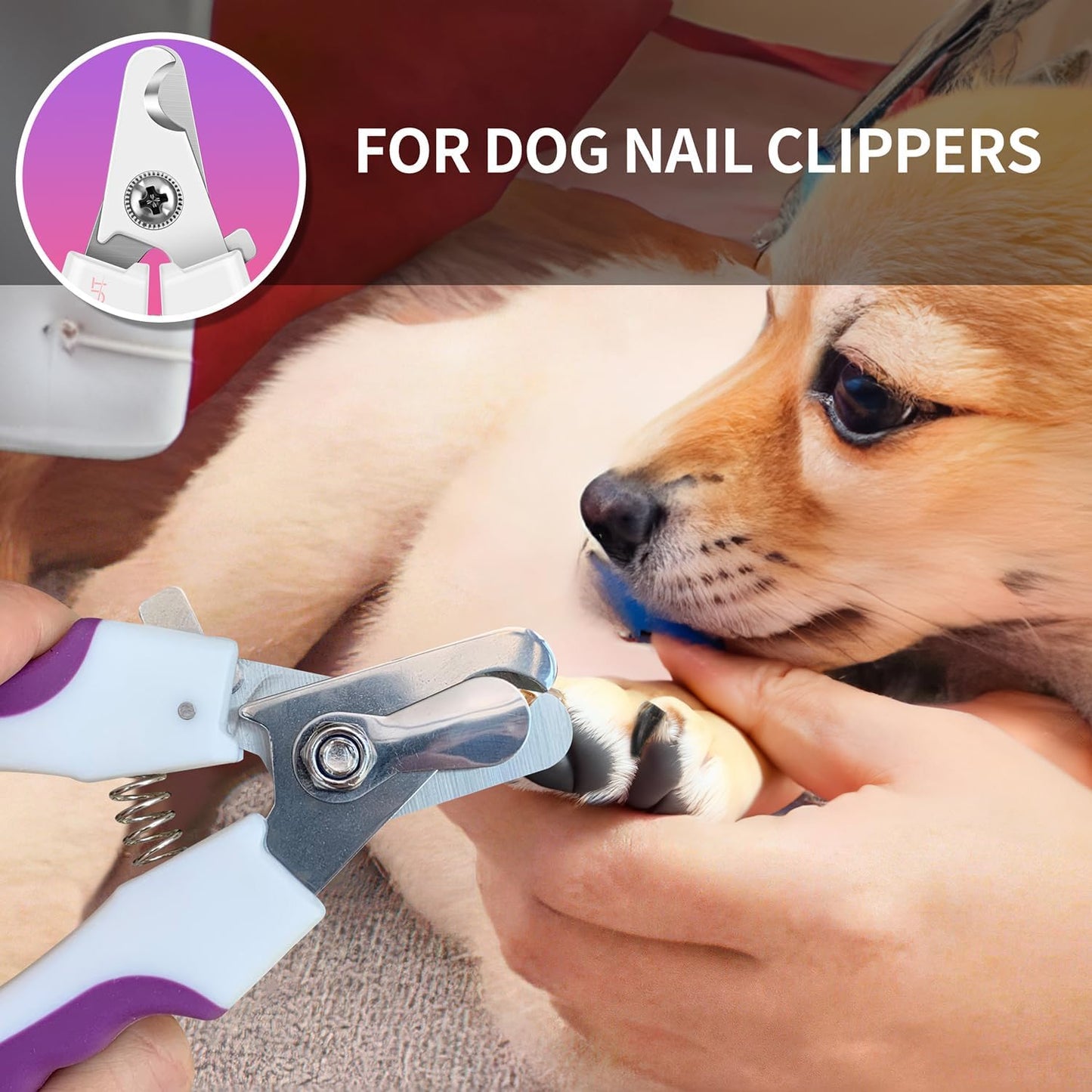 6" Dog Nail Clippers for Small, Medium and Large Breed Professional Pet Nail Trimmers -Suitable for Cats, Rabbits and Guinea Pigs with Safety Guard to Avoid over Cutting (Purple)