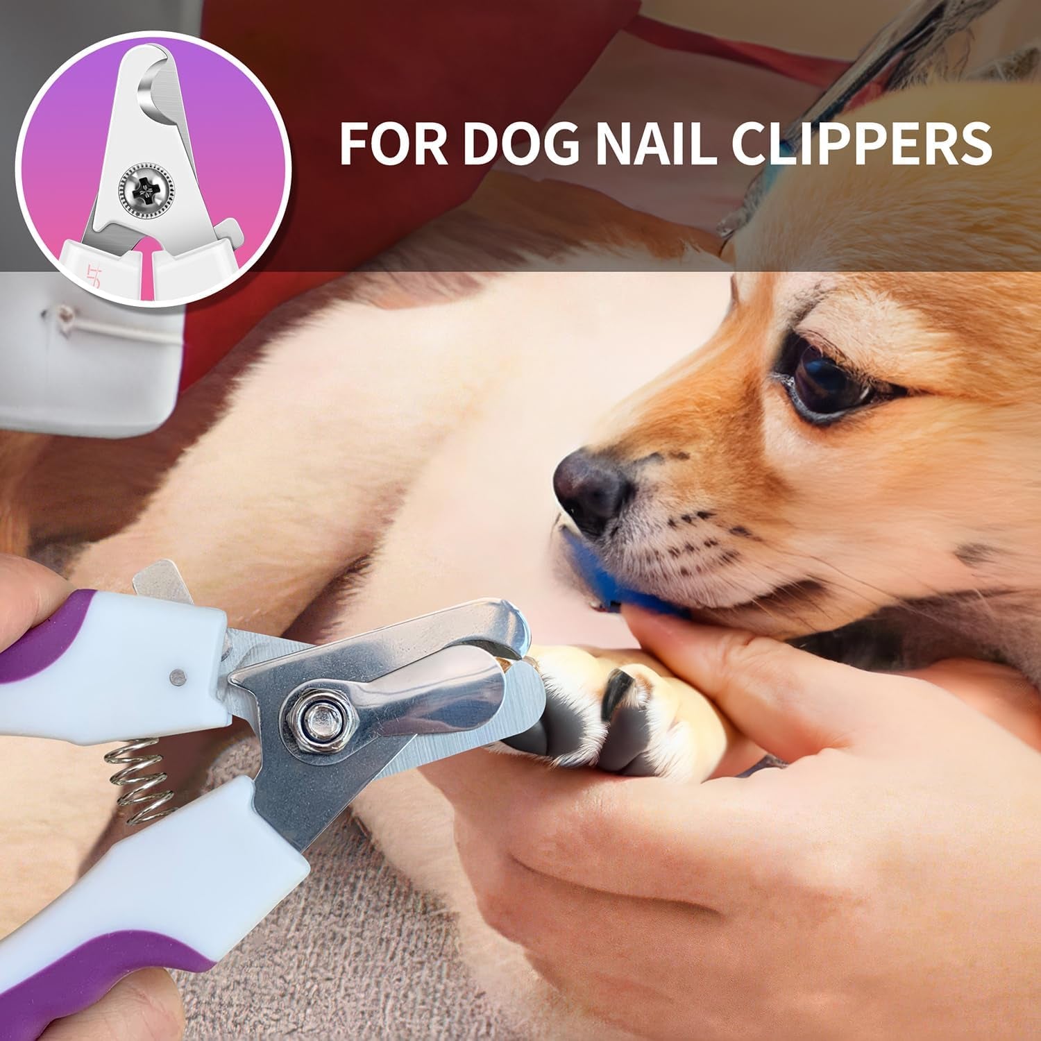 6" Dog Nail Clippers for Small, Medium and Large Breed Professional Pet Nail Trimmers -Suitable for Cats, Rabbits and Guinea Pigs with Safety Guard to Avoid over Cutting (Purple)