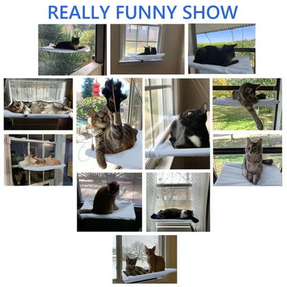 Window Cat Hammock Cat Window Sill Perch Cat Bed Pet Cat Window Sill Stand Suction Cup Hanging Cat Litter Box-Blue