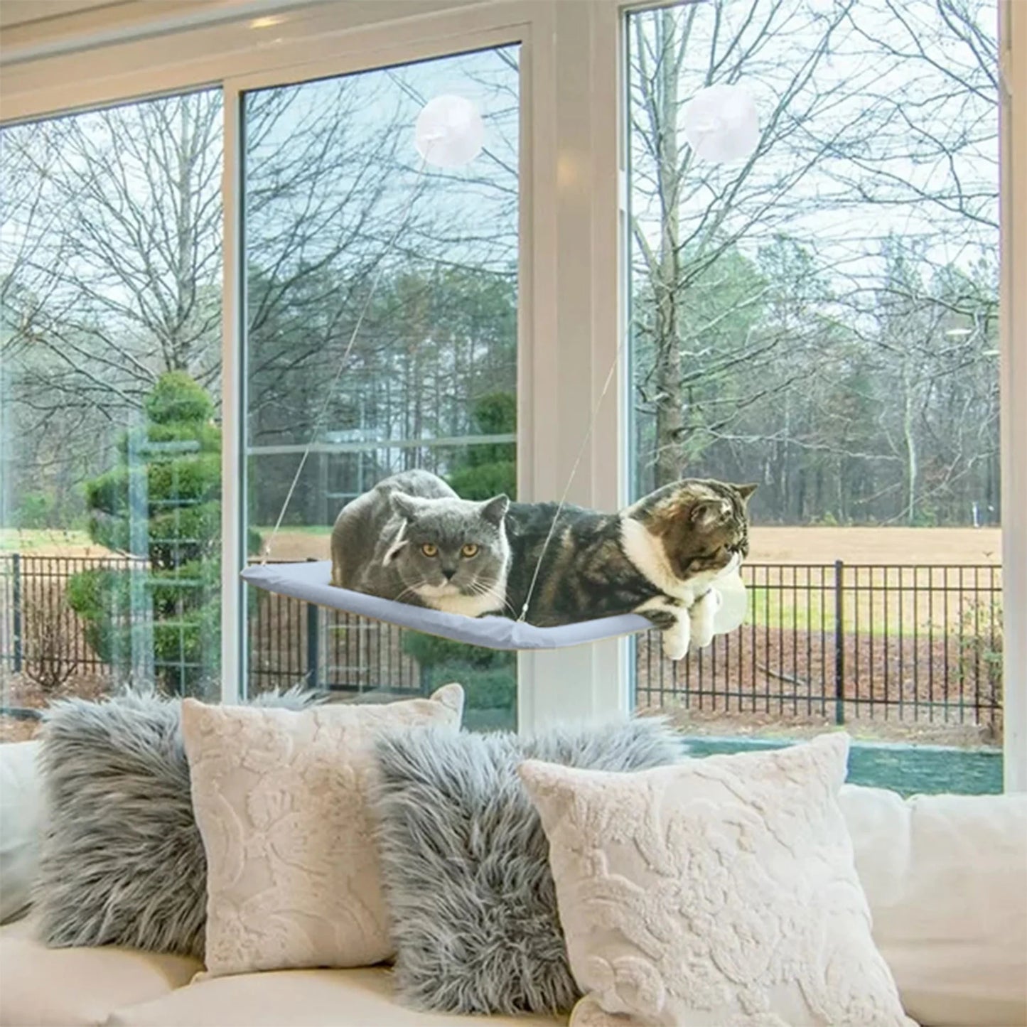 Window Cat Hammock Cat Window Sill Perch Cat Bed Pet Cat Window Sill Stand Suction Cup Hanging Cat Litter Box-Blue